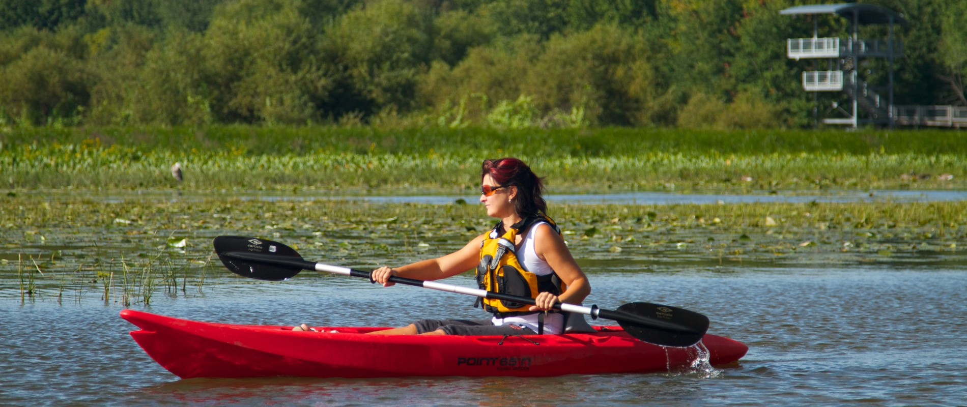 kayak