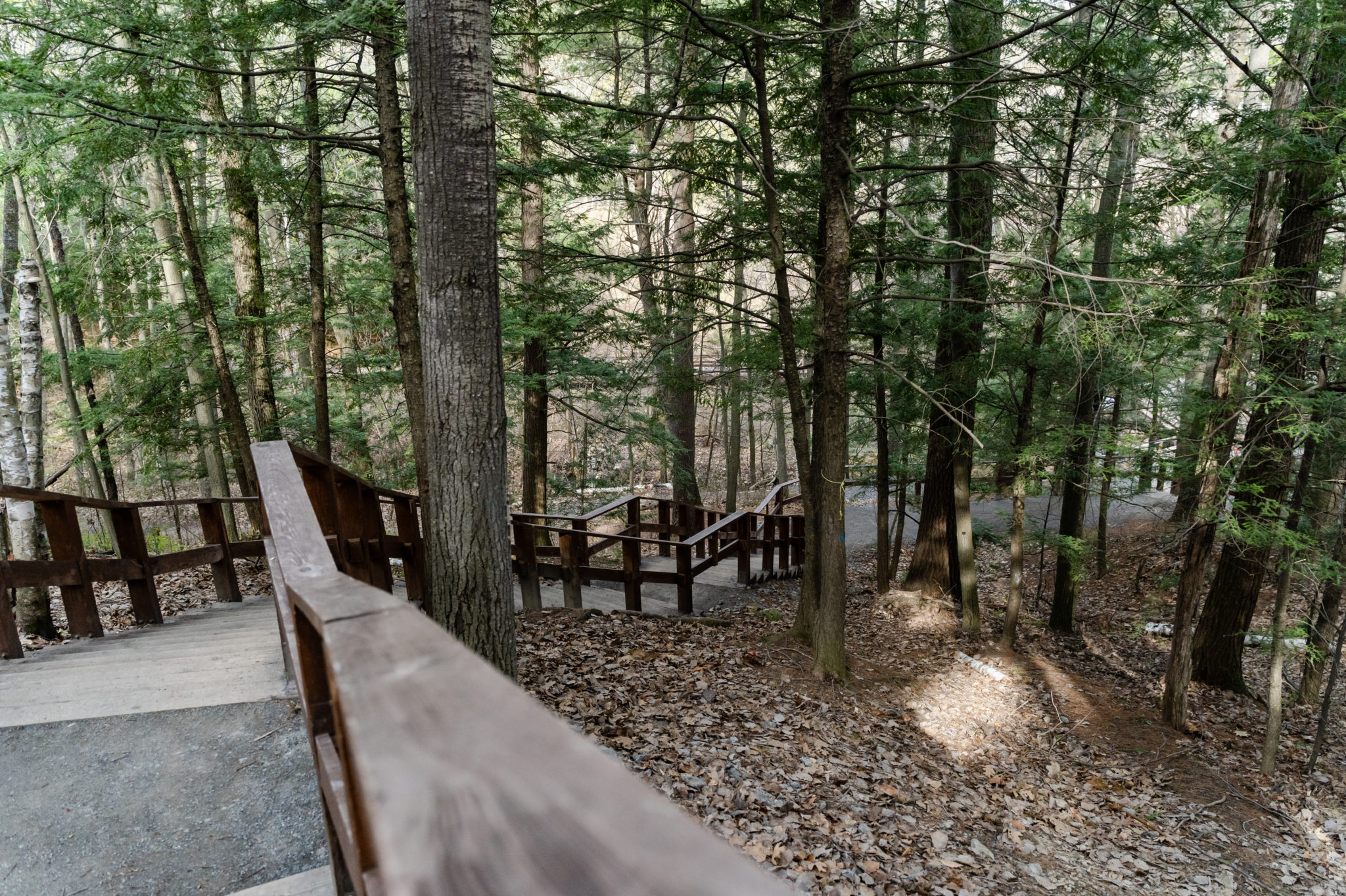 Parc métropolitain du Domaine-Seigneurial-de-Mascouche - Randonnée